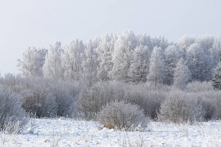 基洛夫在阳光明媚的寒冷日满是雪背景