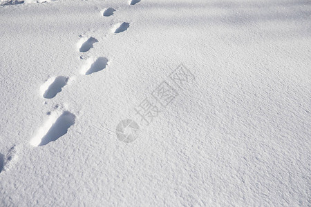 雪的纹理冬天的降雨雪降后的图片