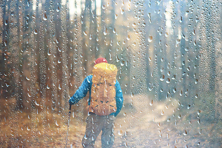 雨季秋雨森林地貌景观一个男子在10月的潮湿森林中徒步旅行图片
