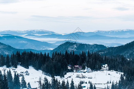 雪山美景与松树和小村庄图片