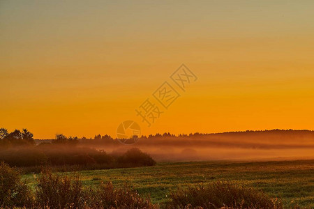 在草地或田野表面和在天空背景下雾的自然清晨风景图片