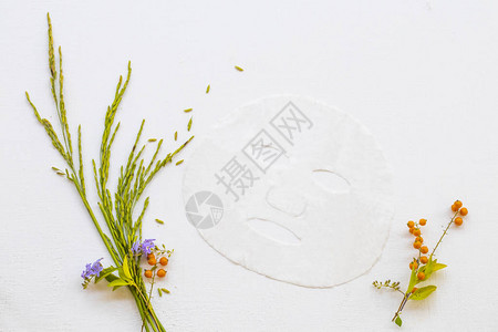 天然香气片状面膜提取物大米草本植物保健皮肤面部精华面膜排列平图片