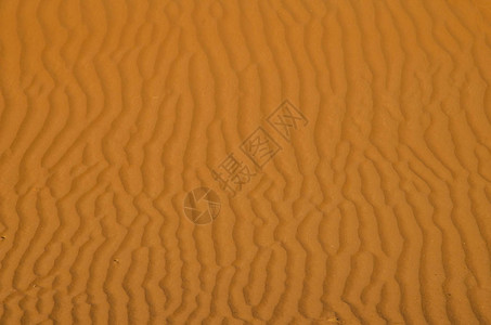 瓦伊巴沙漠中高清图片
