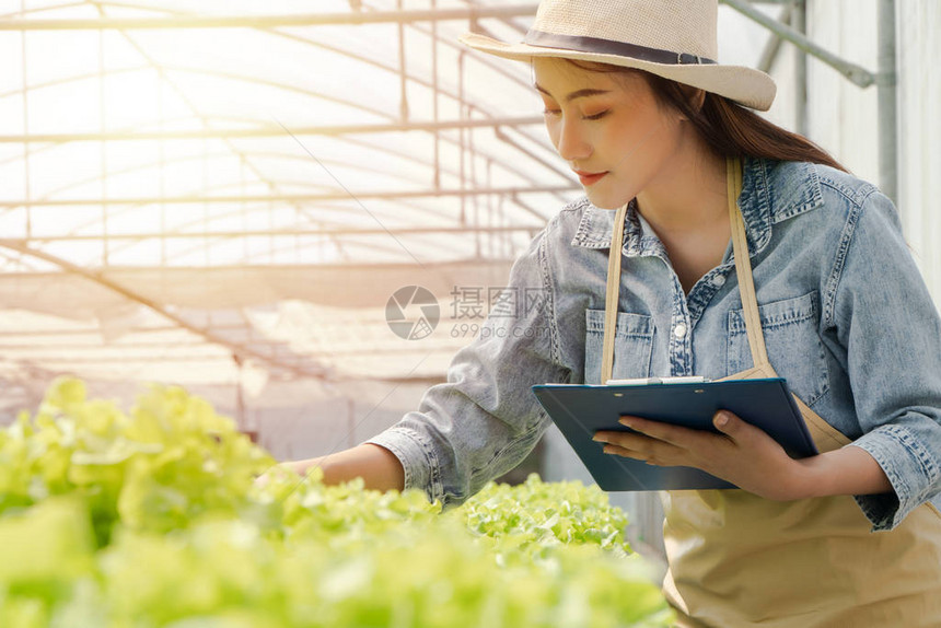 亚洲农妇拿着剪贴板和生蔬菜沙拉检查温室水培农场系统的质量水光温控环境的概图片