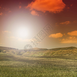 日出山丘田地鲜花牧场和阳光的图片