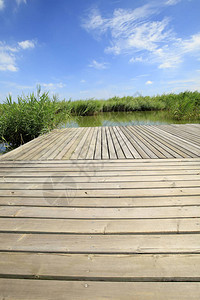 湿地风光芦苇木桥图片