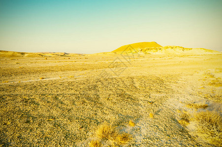 生机向荣以色列沙漠中岩层的欣向荣的景象背景