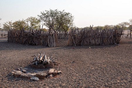 Himba村纳米比亚奥普沃附近的圣祖传火和牛群营区图片