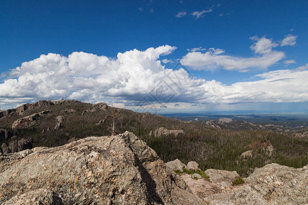 卡斯特州立公园的景观与黑麋鹿峰图片