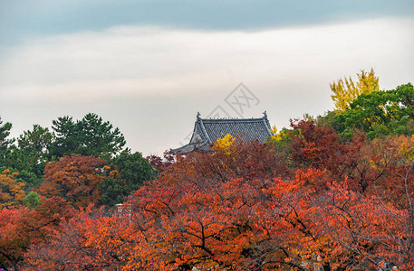 关西大阪市五彩缤纷的秋天图片