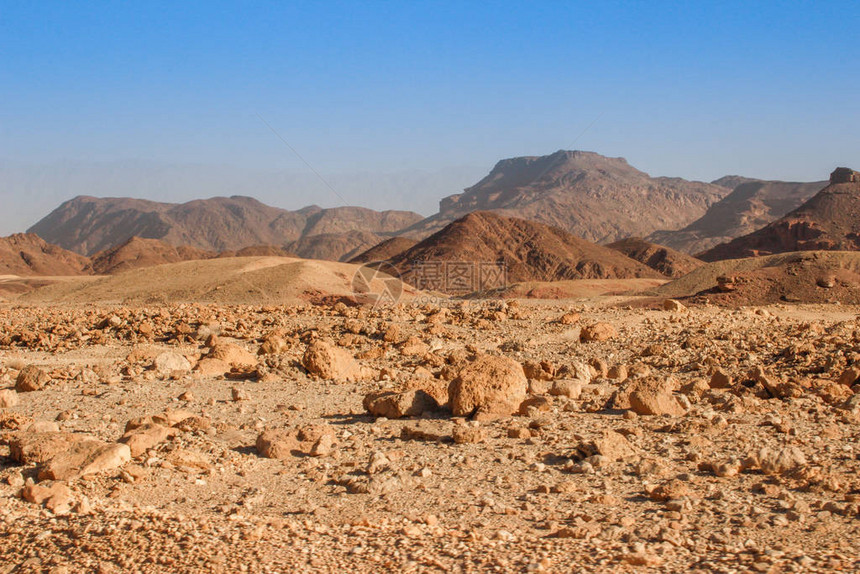 以色列南部埃拉特地区沙漠中著名的蒂姆纳公园图片