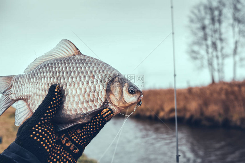 渔夫手里拿着一条鱼图片