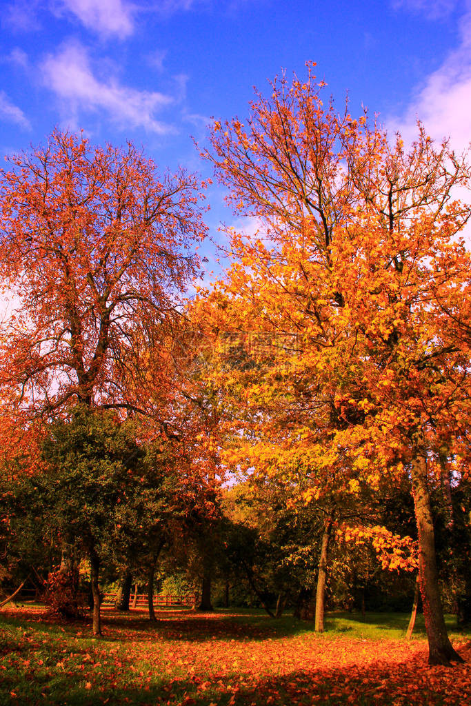 乡村美丽的秋天风景图片