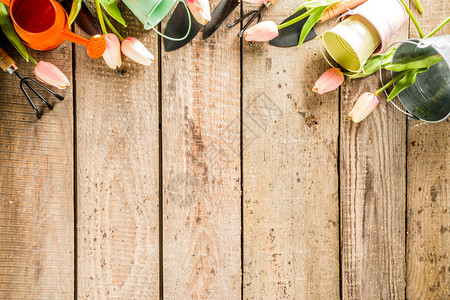 木梯田背景的园艺工具和花朵图片