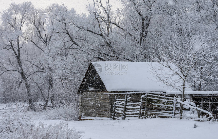 在大雪期间的老木棚子图片