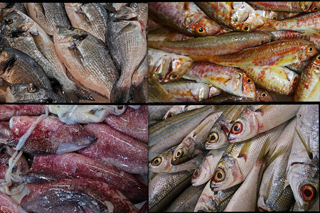 市场上的各种鱼背景图片