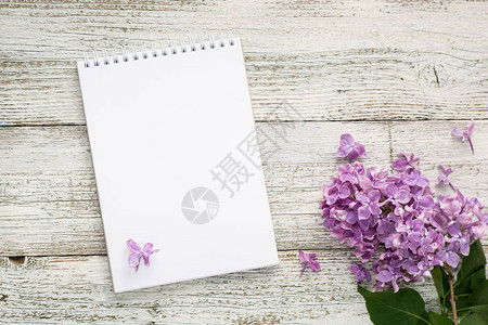白色木背景上带春边花的清洁笔记板带有复制空图片
