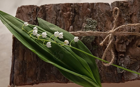 装饰用木树做成的盒子用山谷花朵的百图片