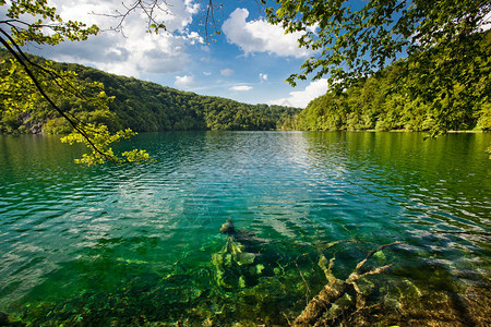 克罗地亚的普利维茨湖公园图片
