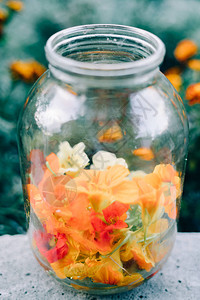 玻璃罐中可食用的五彩金莲花图片