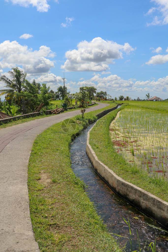 这是一种将水带到Jatiluwih地区的田地和水稻梯田的传统方式原始灌溉方法图片