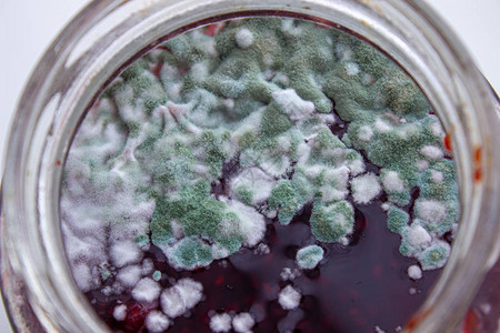 一罐果酱中的霉菌对健康有害霉菌背景图片