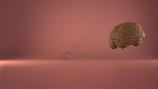 粉红背景的人类漂浮大脑人类智能概念解剖学精确模图片