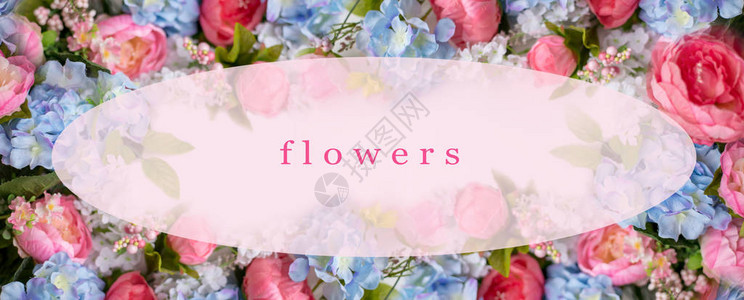蓝色和粉红色花朵的明信片图片