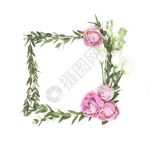 有粉红和白玫瑰树叶和花瓣文字的地方图片