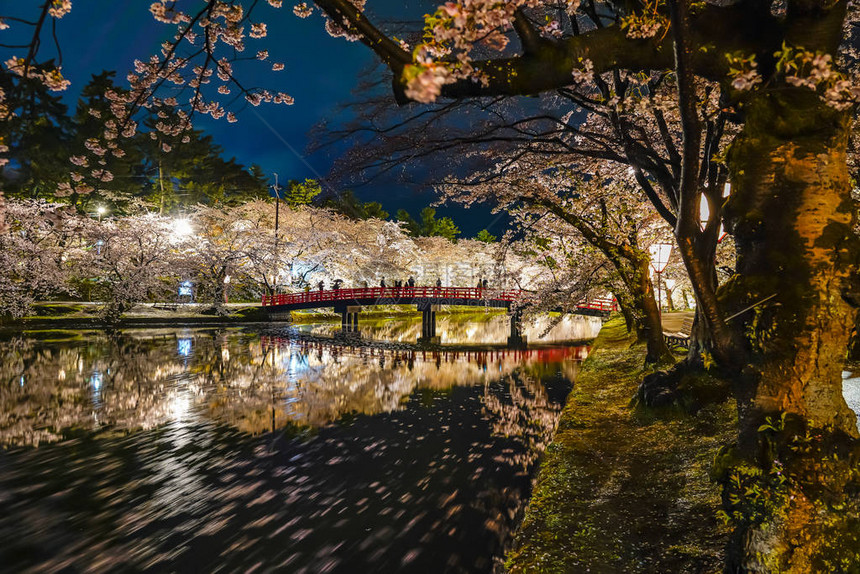 夜幕明亮的节日西莫阿特舒奈奥巴希桥和灯光照亮的美花全开的粉红色花朵日本东北地图片