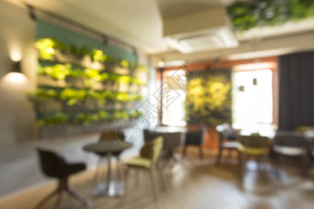 绿咖啡馆内布有活墙植物休息咖啡图片