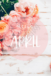 4月你好GIF4月在框架的词组你好新一帮粉红小精灵和玫瑰在木制生锈背景上卡片概念背景