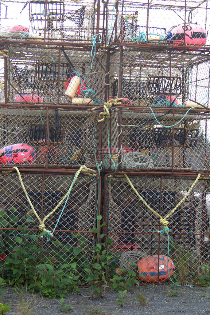 在荷马阿拉斯加堆叠的龙虾陷阱图片
