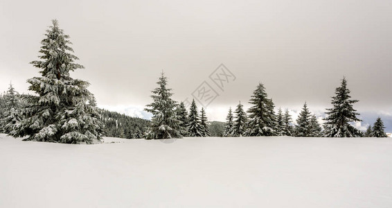 寒冷的山日奇异的荒凉景色雪图片