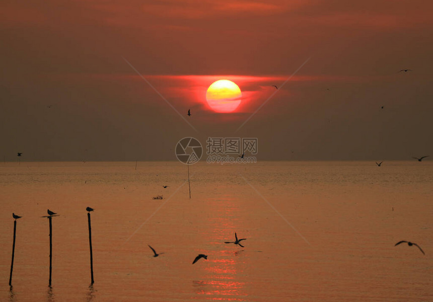 在泰国湾上美丽的日出天空与许多早期鸟类的光图片