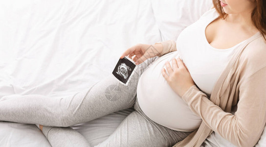怀孕的最后几天孕妇用超声检查全景自由图片