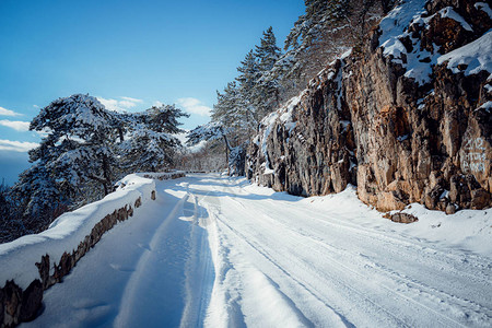 冬季森林的雪路冬天风景真棒荒野森林树木间有一片图片