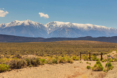 加州景观背景是白雪皑的内华达山脉美国图片