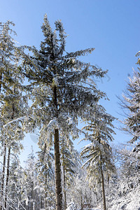 从Czantoria山顶的冬季山景雪图片