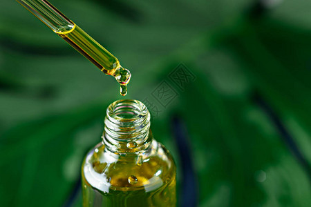 绿色植物背景下带移液管和化妆品黄油的玻璃瓶特写图片