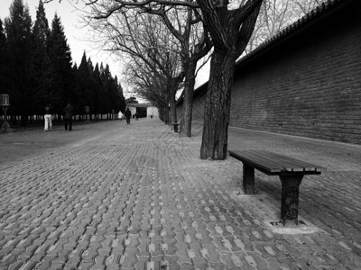 冬季公园里的休闲长椅图片