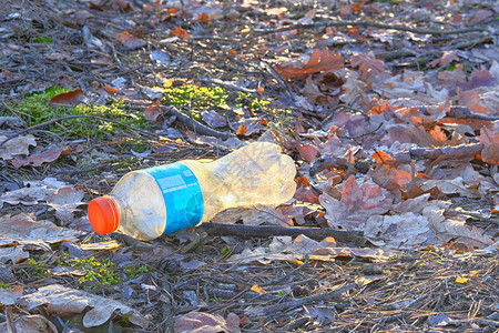 生活垃圾造成的环境污染棕色的叶子躺在森林里的塑料瓶周围环图片