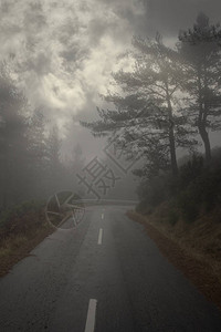 多云雾天的山林公路图片