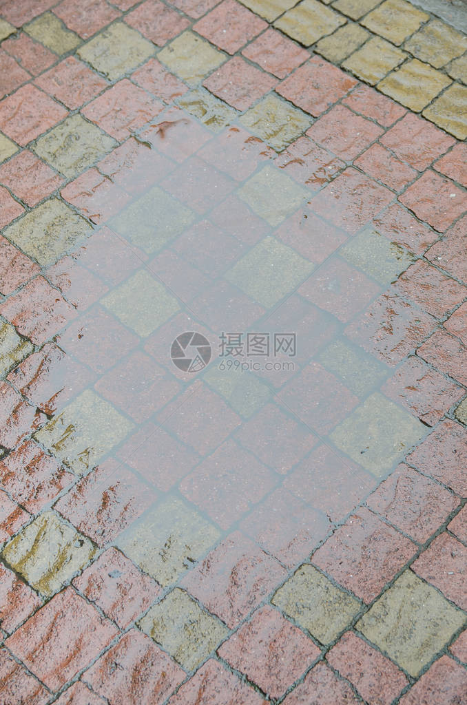 雨后水坑图片