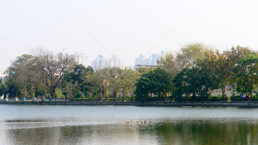 高层住宅项目建筑公寓和商业公寓站在湖边的树旁高的框架连接建筑设计天际线喷泉自然和地形一起工图片