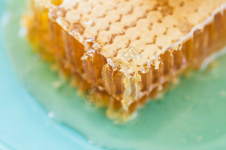 蜂蜜和蜂窝放在图片