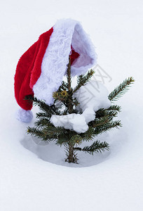 雪里有棵小树用圣诞老图片