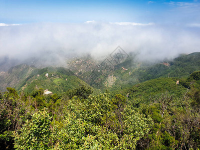 云飞过树木和高山峰的景观图片