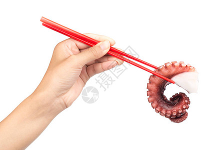 手拿着筷子吃着白色背景中孤立的章鱼触须背景图片