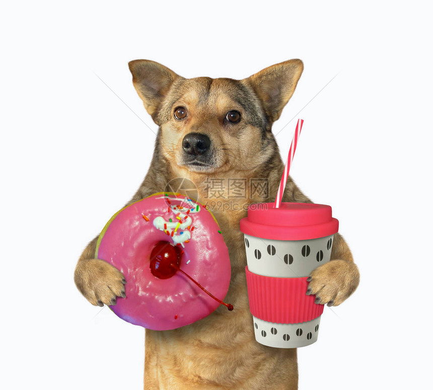 蜜豆狗拿着粉红色甜圈图片